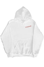 Load image into Gallery viewer, DS Dyna hoody